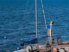 -厦门五通客运码头