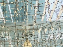 -福田卓悦INTOWN购物中心