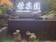 景观位-荣乐园