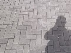-合肥野生动物园