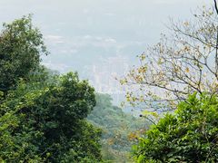 -火炉山森林公园