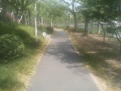 -新江湾城公园