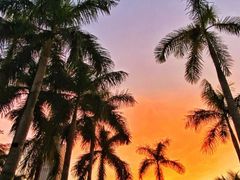 -观澜湖华谊冯小刚电影公社(百年记忆公社)