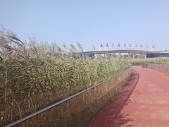 -西安浐灞国家湿地公园