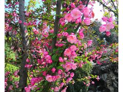 -花洲书院