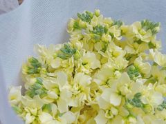 -The Flowers Coffee(南山店)