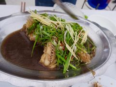 -越海渔村