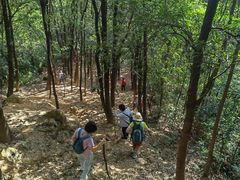 -广州市帽峰山景区