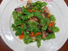 -金唐宫(淮河文化广场店)