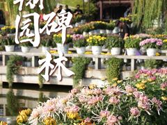-中国翰园碑林