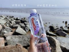 -深圳湾公园(南山区)