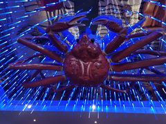 -蟹之国·精品蟹料理(极地店)