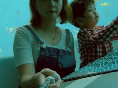 -瑞德姆美人鱼海底演艺主题餐厅(亚龙湾店)