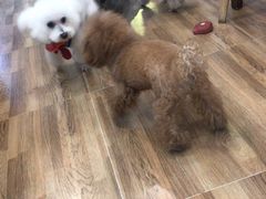 -喵汪宠物生活馆(涞坊路店)