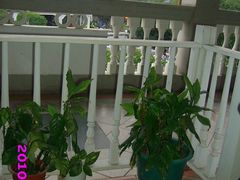 雪山房-娜娜度假小旅馆