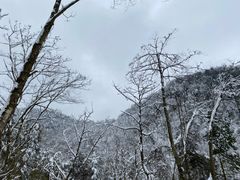 -九峰山