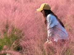 -自然谷恐龙园