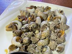 白灼杂螺拼-501號台州海鲜餐厅(海创园店)