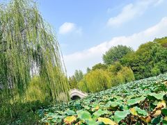 -扬州市茱萸湾风景区