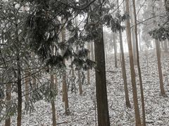 -四明山国家森林公园