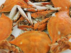 清蒸螃蟹-四海鲜渔家菜(黄金海岸店)