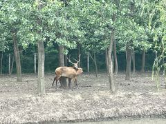 -溱湖国家湿地公园