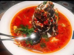 -坛宗剁椒鱼头(河西王府井店)