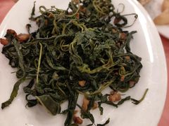 炒麻叶-深运潮州粥(东门店)