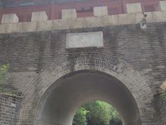-云岗森林公园