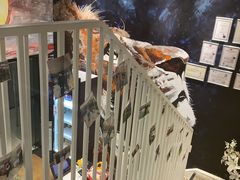 -SAH健身私教工作室(紫东店)