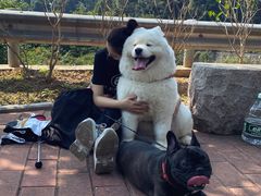 -火炉山森林公园