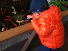 -山有花啡餐厅(常营总店)
