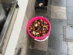 -阿麟馄饨(延长路店)