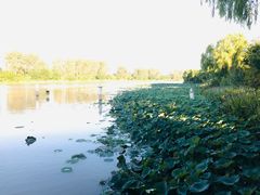 -红灯笼大酒楼(通湖路店)