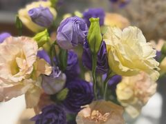 -MOI COFFEE(江山汇悦山府店)