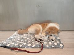 -YCHL Studios健身工作室(市二宫店)