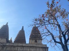 -北京石刻艺术博物馆(五塔寺)