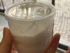 -洪馨椰子