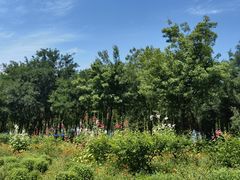 -永定河休闲森林公园