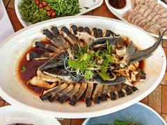 -京北渔家傲