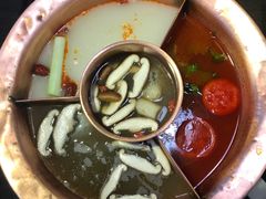 -老诚一锅羊蝎子(黄寺大街店)