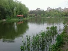 -新江湾城公园