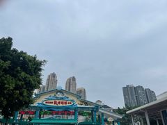 -海合安成都极地海洋公园