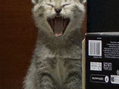 -瑞鹏宠物医院·骨科·猫科·内科(第一中心)