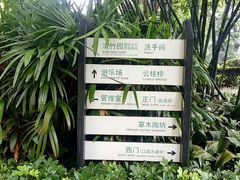 -晓港公园