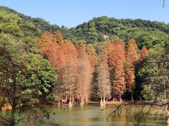 -广州市白云山风景名胜区