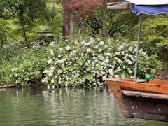 -西湖游船