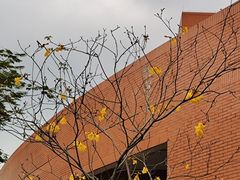 -华南理工大学(大学城校区)