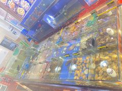 -明记海鲜大排档(巽寮湾店)