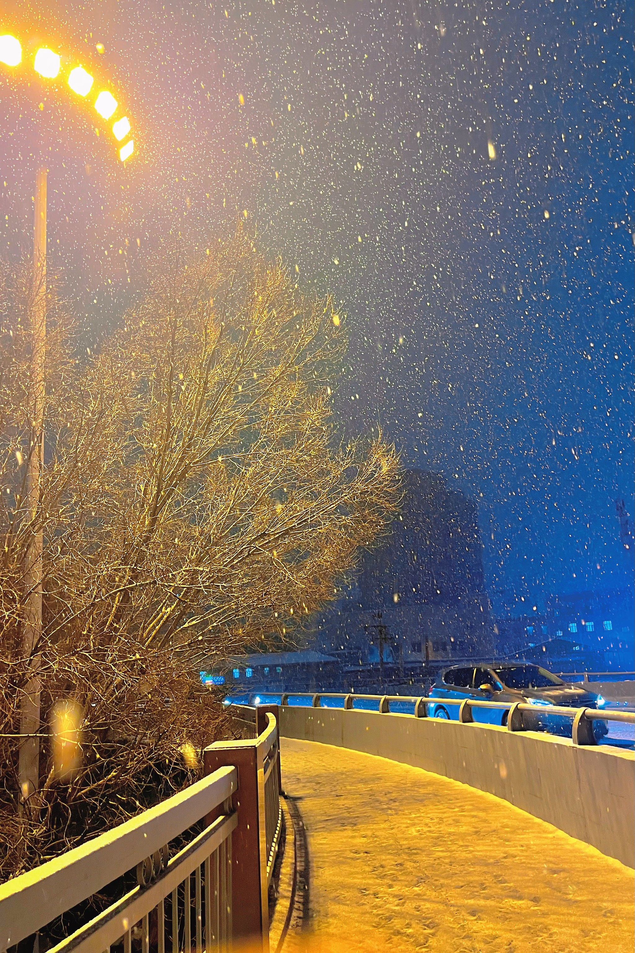 雪花飘飘